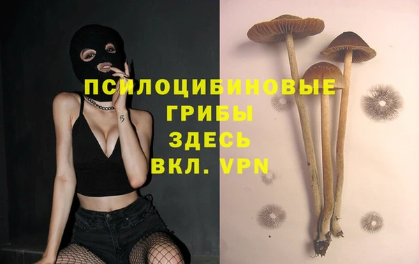 бутират Мурманск