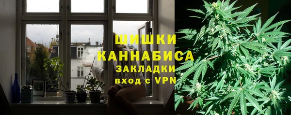 крисы Майский