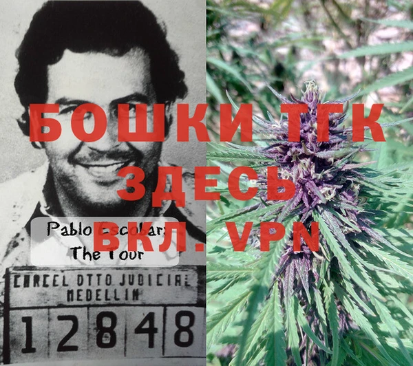 прущая мука Магадан