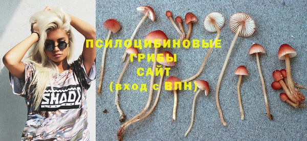 прущая мука Магадан
