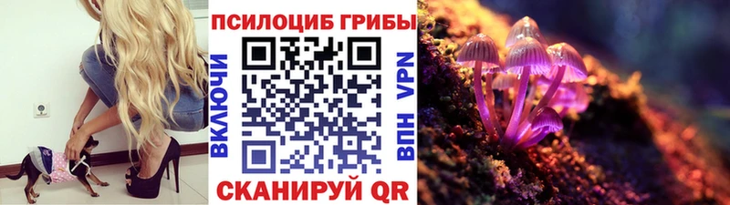 Галлюциногенные грибы GOLDEN TEACHER Нижнекамск