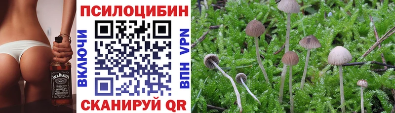 наркошоп  Нижнекамск  Псилоцибиновые грибы мухоморы 