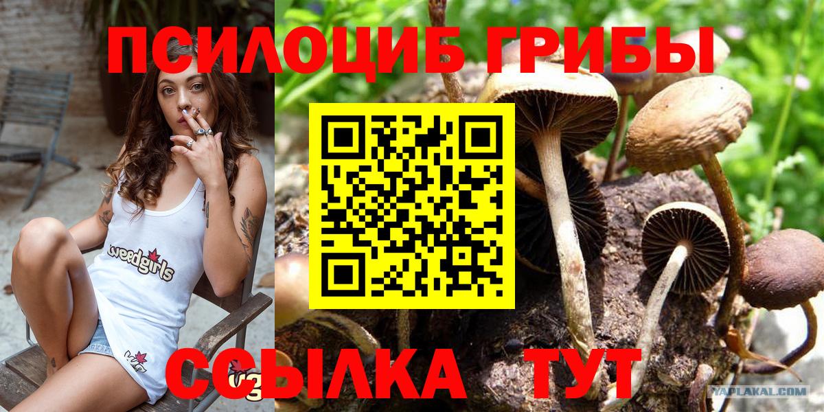 Галлюциногенные грибы мицелий Нижнекамск
