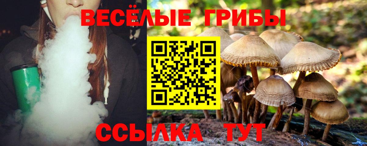 Псилоцибиновые грибы мухоморы Нижнекамск