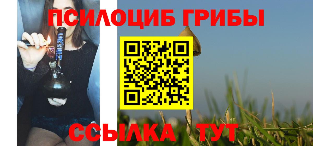 Псилоцибиновые грибы ЛСД  Вход с VPN  Псилоцибиновые грибы ЛСД  Нижнекамск 